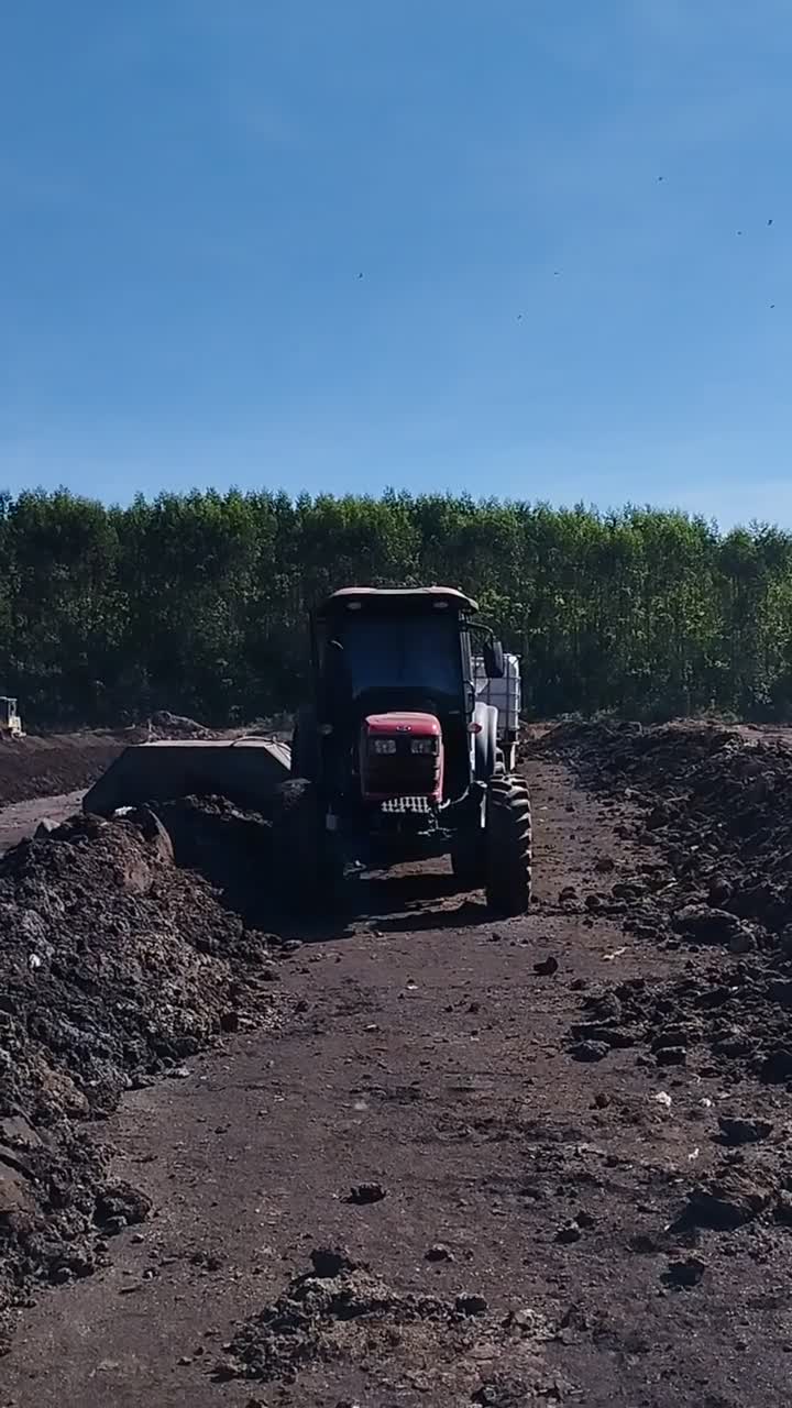 The windrow turner at work.