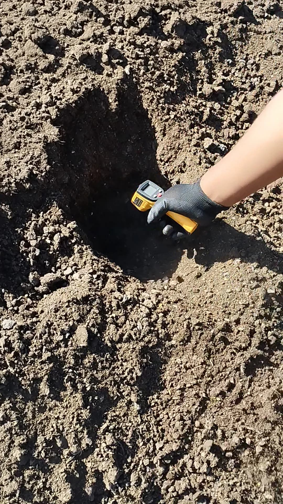 A gloved hand holds an instrument beside exposed material in a composting windrow.